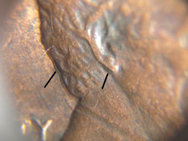 1984-LMC-Earlobe