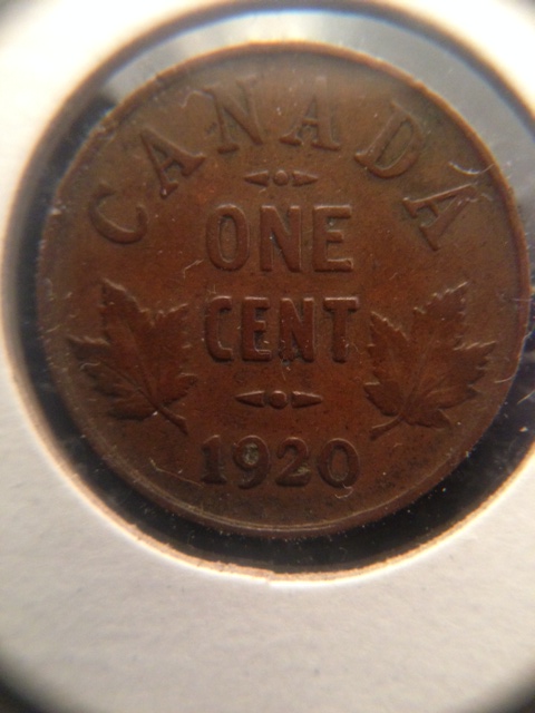 Canadian-Roll-Hunting