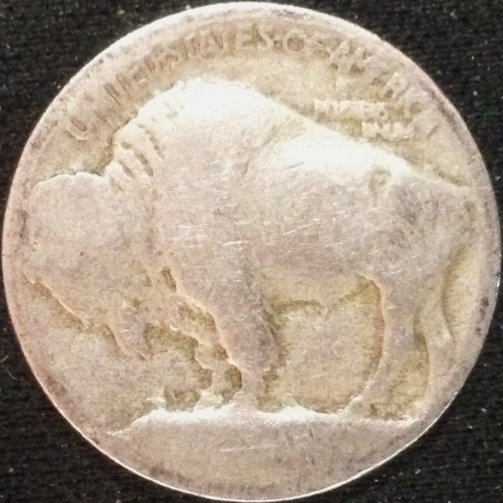 1913-Buffalo---Raised-Ground?