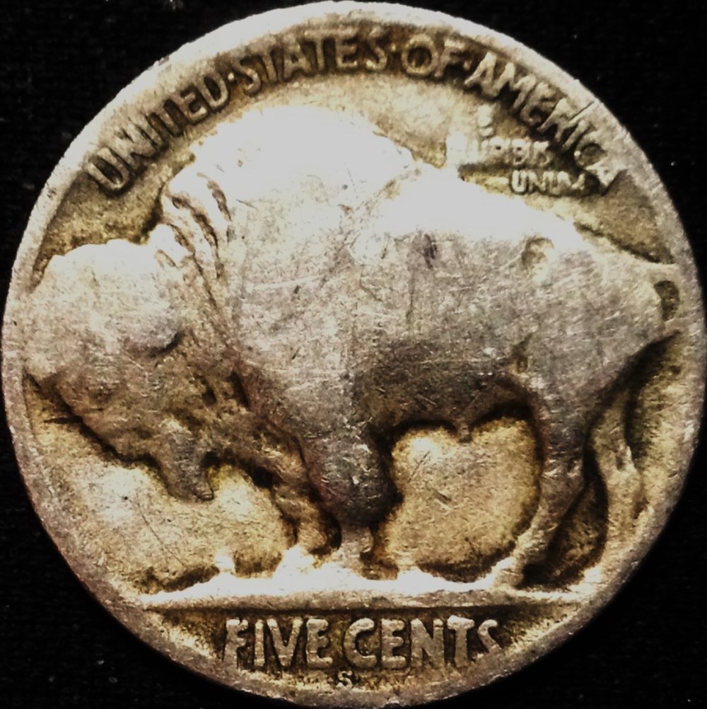 Buffalo-Experts---Help-Please
