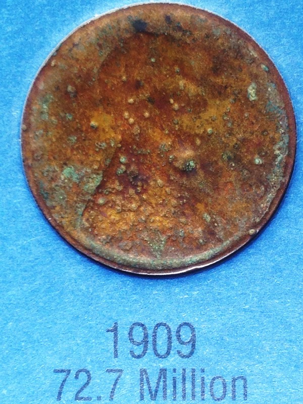 Found-These-4-Dimes-In-The-Waters-Of-Destin-Fl.