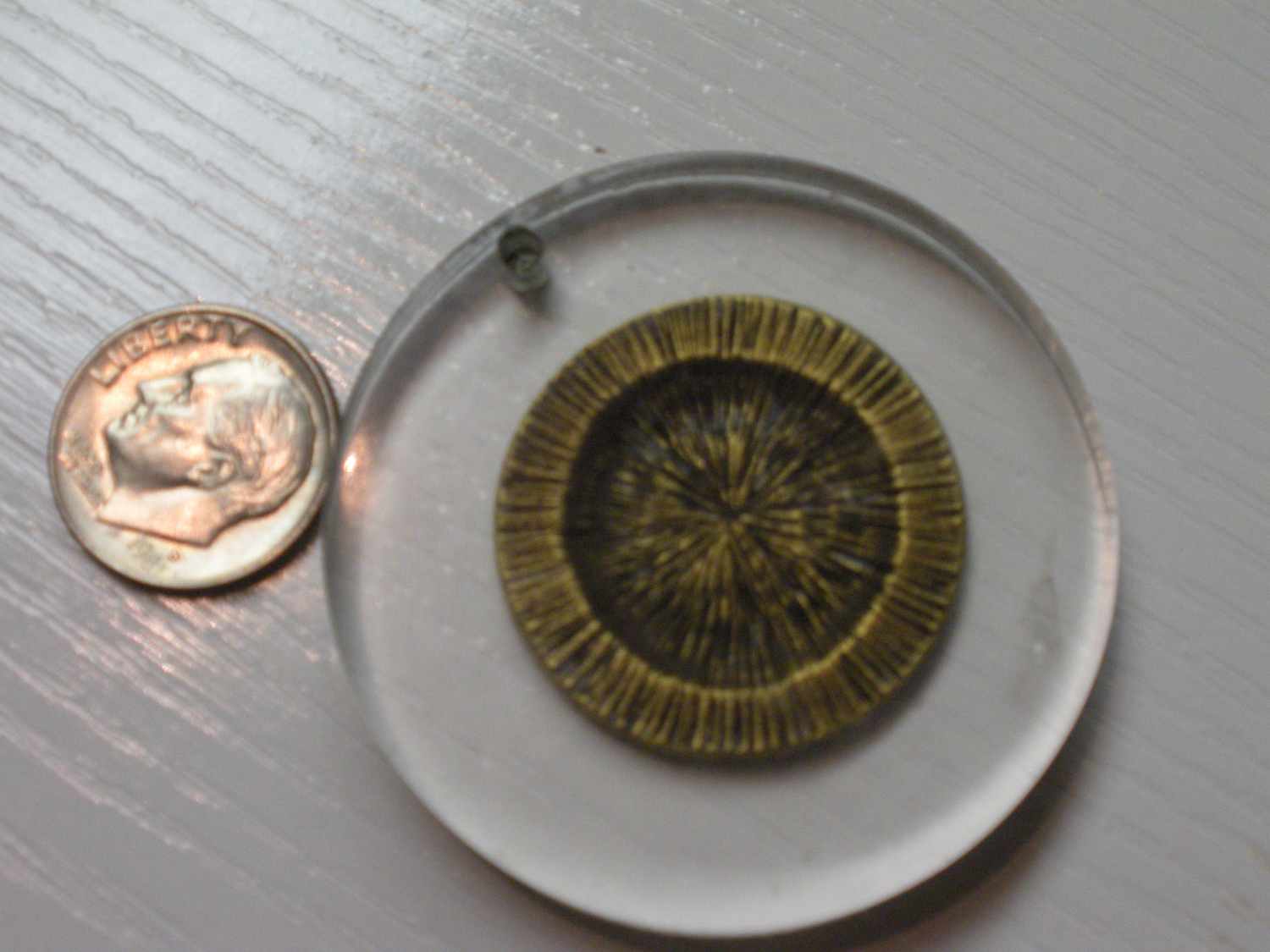 United-States-Congress-Coin-Or-Token-In-Slab