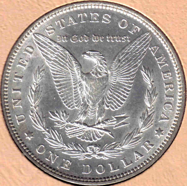 The-28-Days-Of-Morgan-Dollars!-Act-II