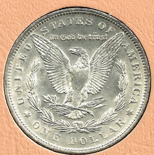 The-28-Days-Of-Morgan-Dollars!-Act-II