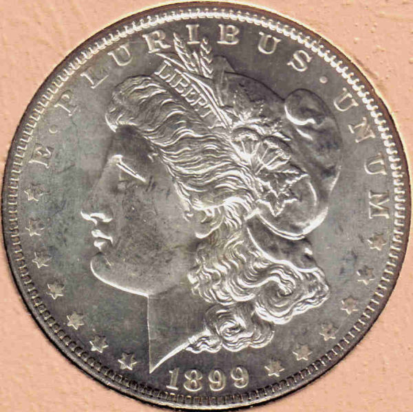 The-28-Days-Of-Morgan-Dollars!-Act-II