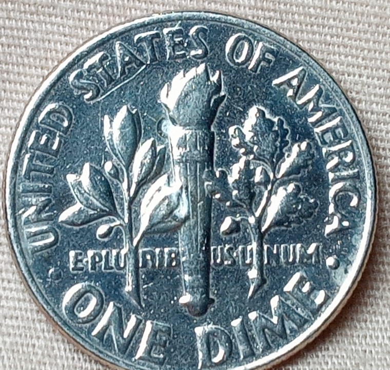 1965-Dime-I-Think-Its-A-Proof-But-Something-Is-Going-On-With-The-Leaves?