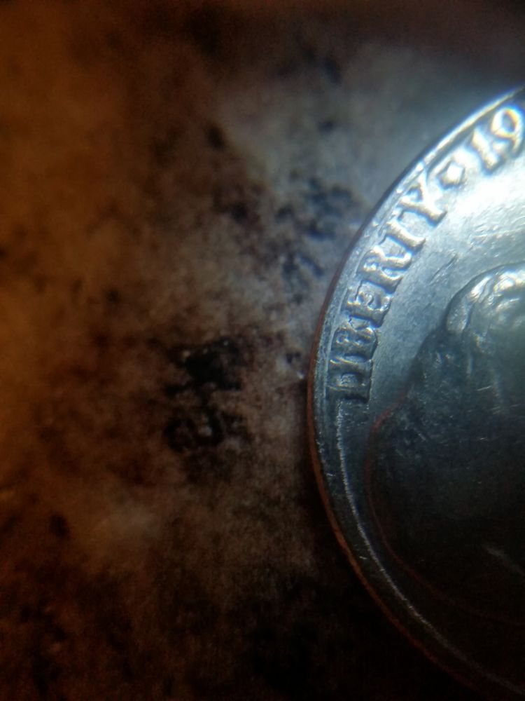 1983-P-Jefferson-Error?