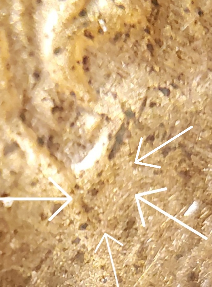 1989-D-Cent-Doubled-Lower-Ear-Lobe.
