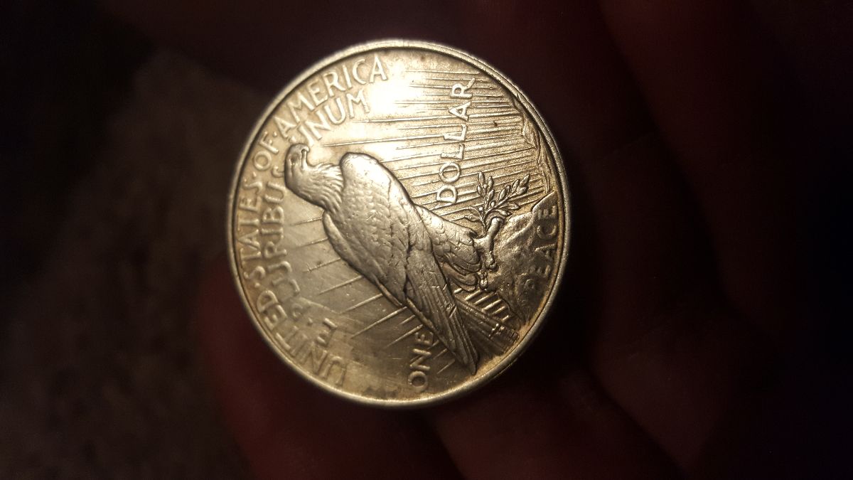 Please-Help-Identify
