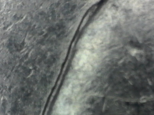 1992-D-Quarter-Not-Sure-What-This-Is