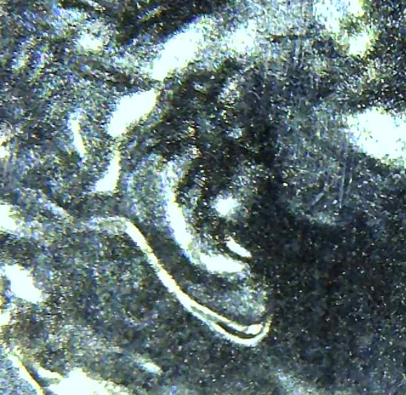 2020-D-Shield-Cents-Doubled-Ears
