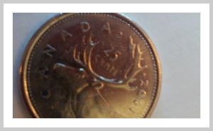 2001-CDN-Quarter-Plain-Edge-Variety/Error?