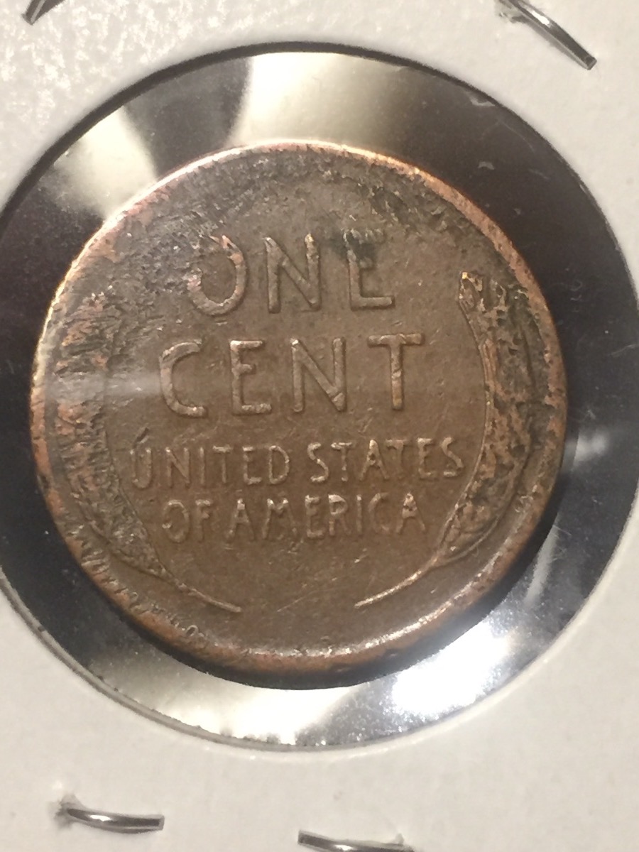 Weird-Unknown-Wheat-Error-Huge-Date-Please-Help!