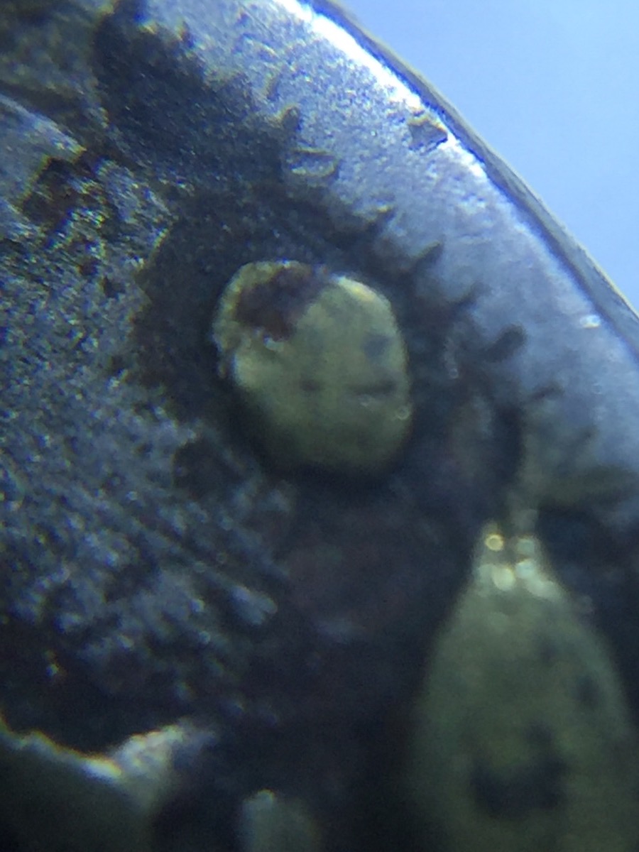 1892-V-Nickel-What-Is-This-Stuff?