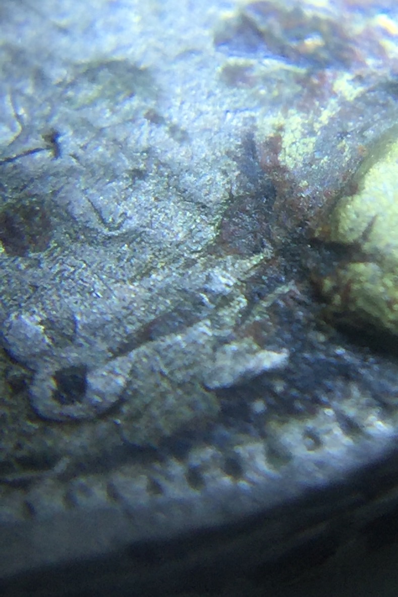 1892-V-Nickel-What-Is-This-Stuff?