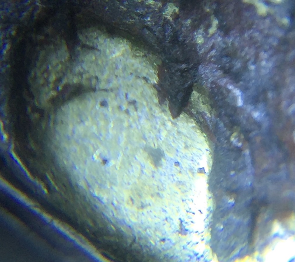 1892-V-Nickel-What-Is-This-Stuff?