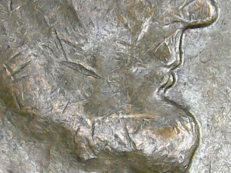1964-D-Possible-Double-On-Profile.--Your-Opinions-Are-So-Appreciated
