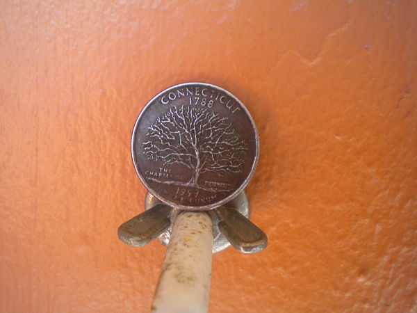 State-Quarter-Error-Or-Junk?