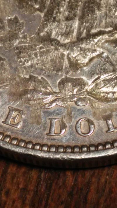 1896-Morgan-Silver-Dollar