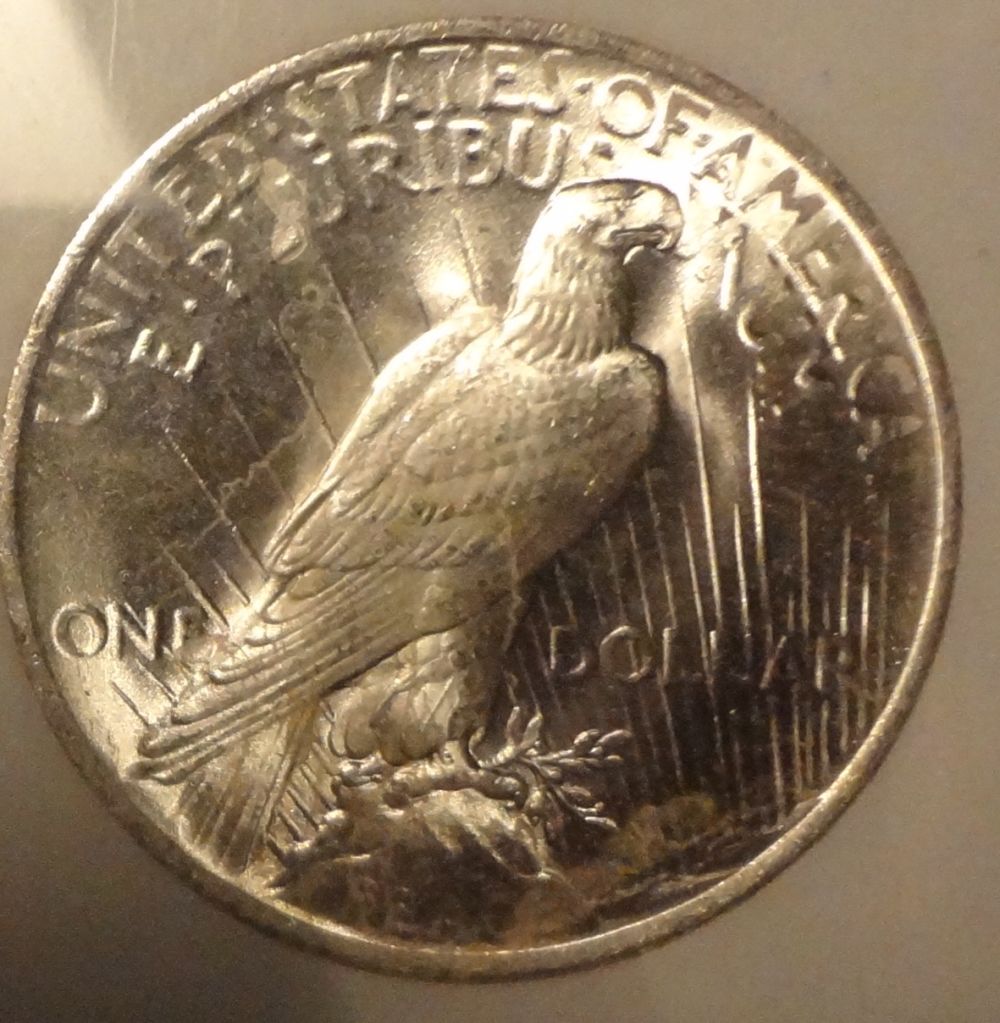1923-Peace-Dollar-What-Grade?