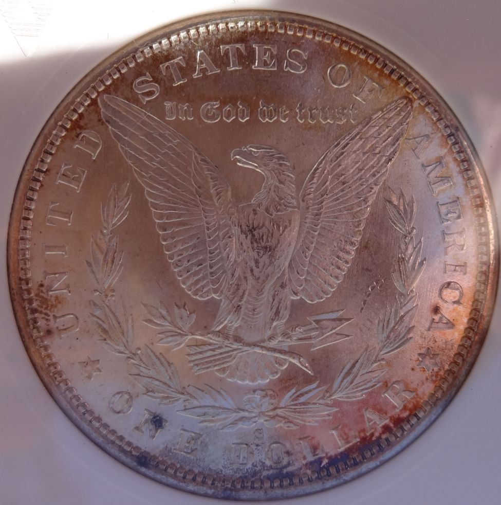 1879-S-Morgan-Dollar-For-Grading