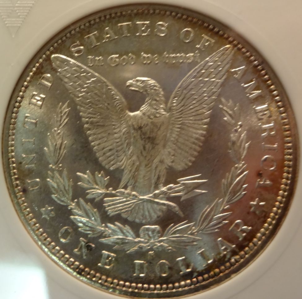 1879-S-Morgan-Dollar-For-Grading