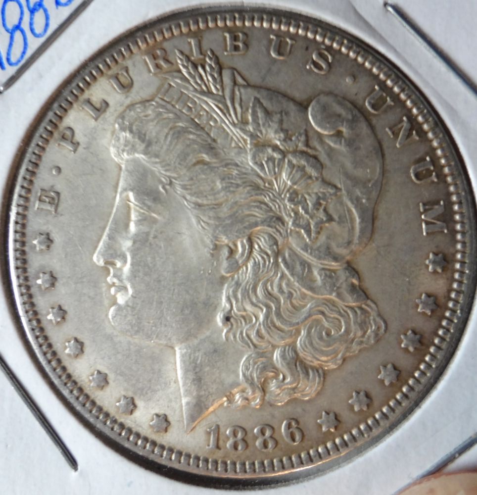 1886-Morgan-Dollar-Raw-For-Your-Review