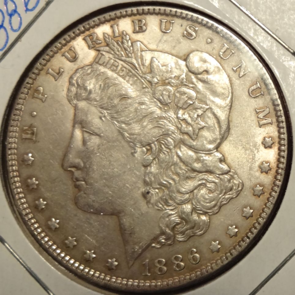 1886-Morgan-Dollar-Raw-For-Your-Review