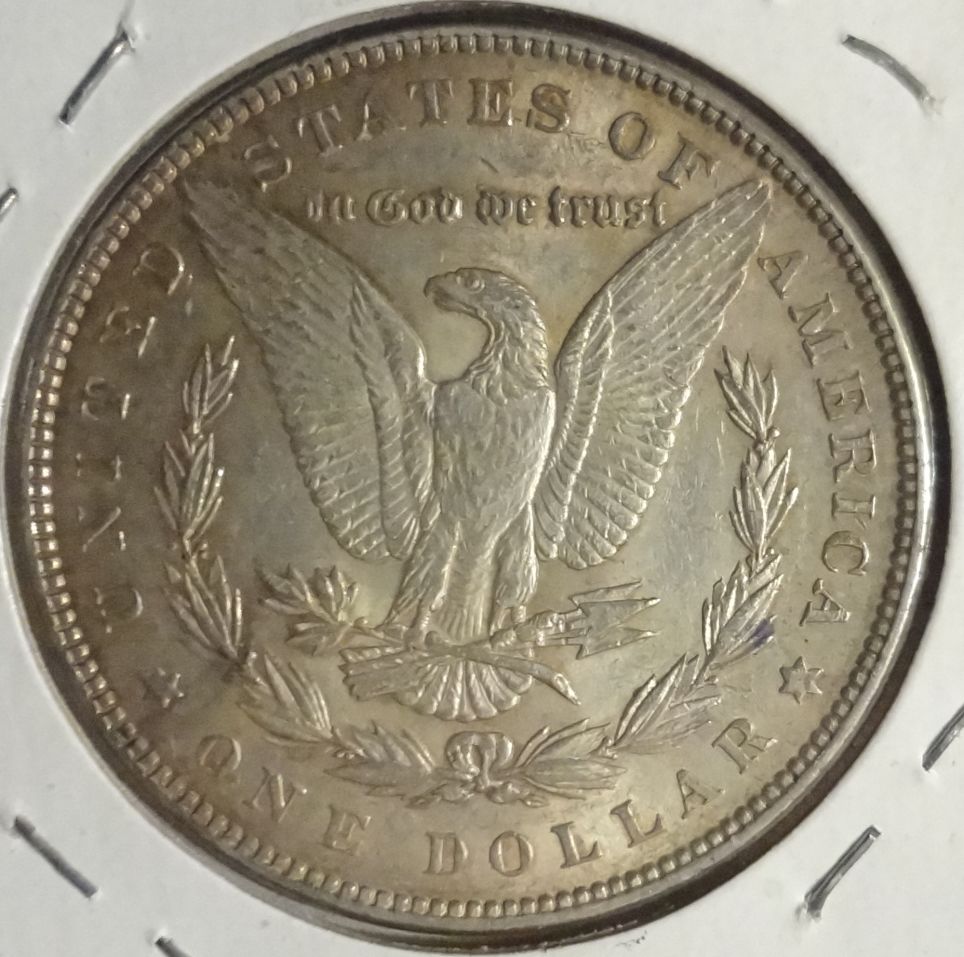 1886-Morgan-Dollar-Raw-For-Your-Review