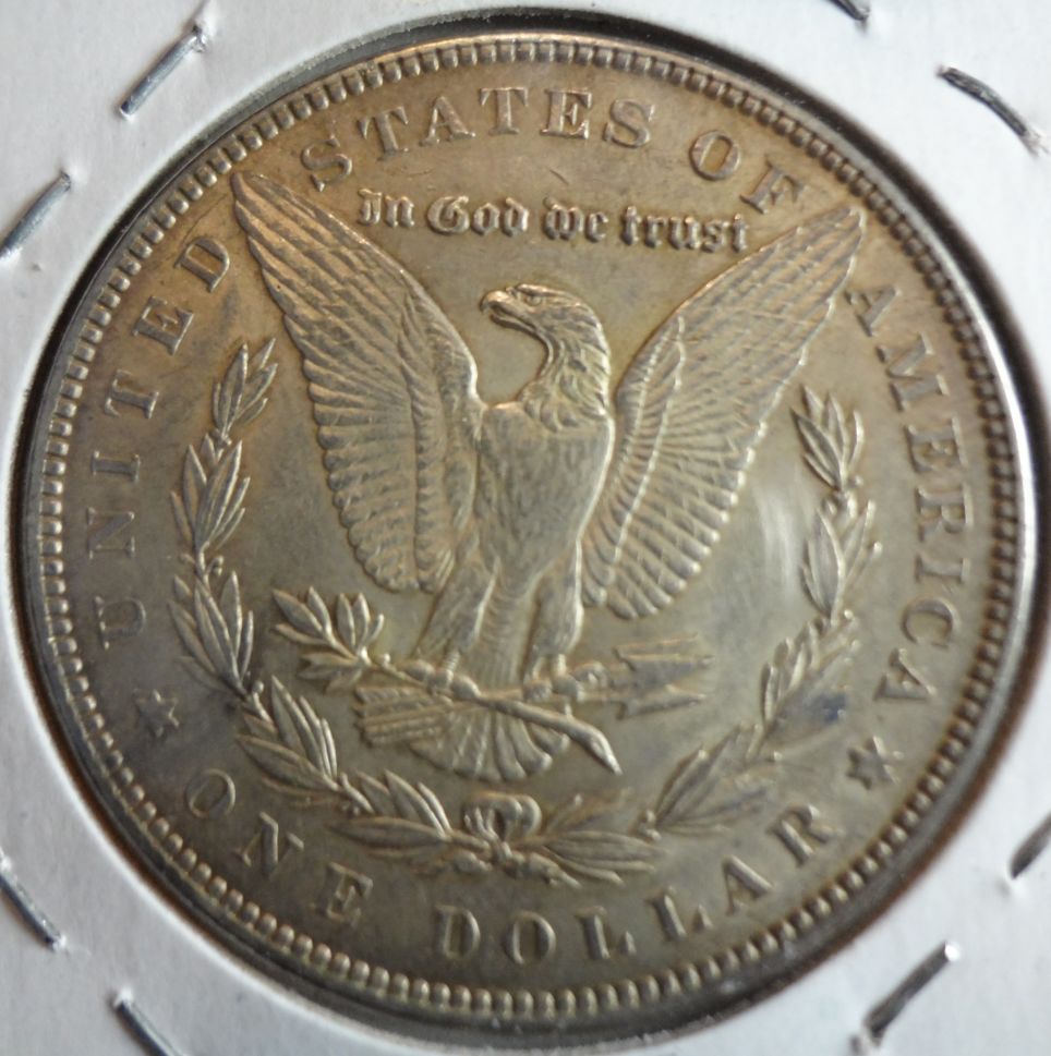 1886-Morgan-Dollar-Raw-For-Your-Review