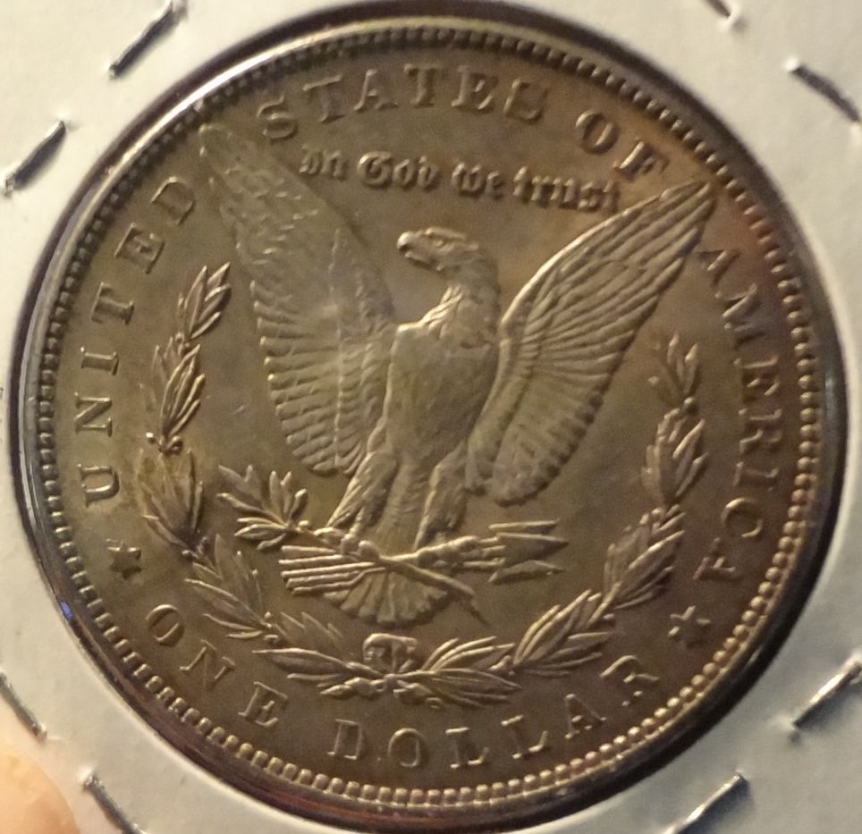 1886-Morgan-Dollar-Raw-For-Your-Review