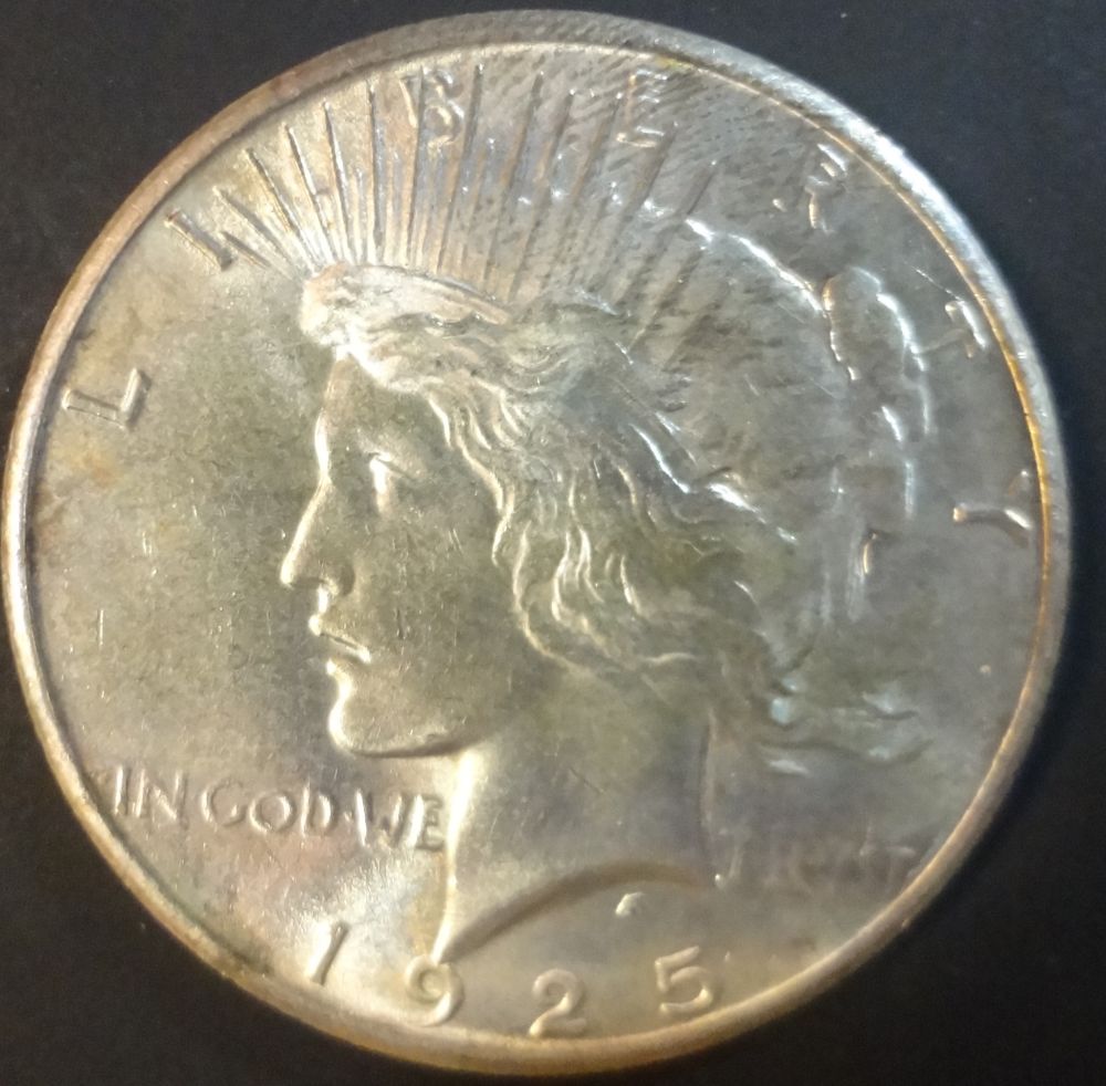 1925-Peace-Dollar-Raw-Coin-For-Review