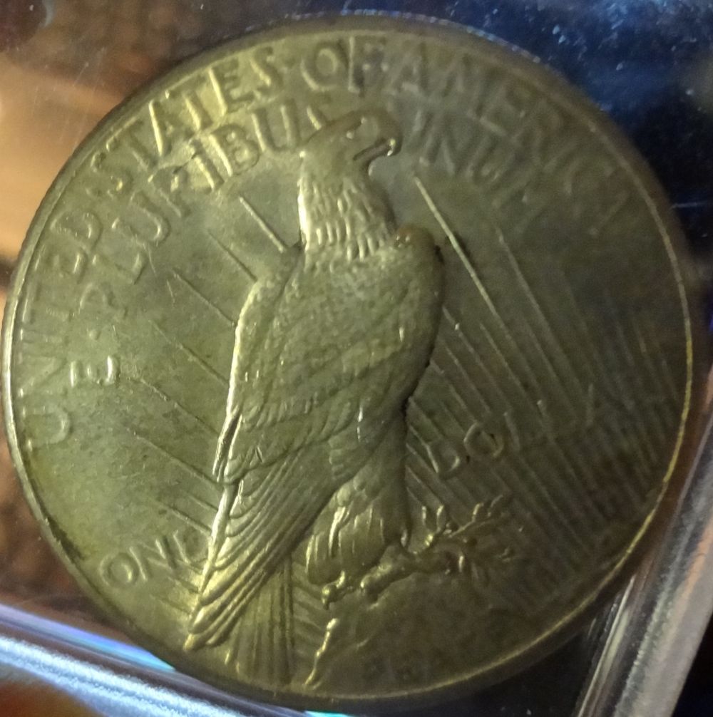 1925-Peace-Dollar-Raw-Coin-For-Review