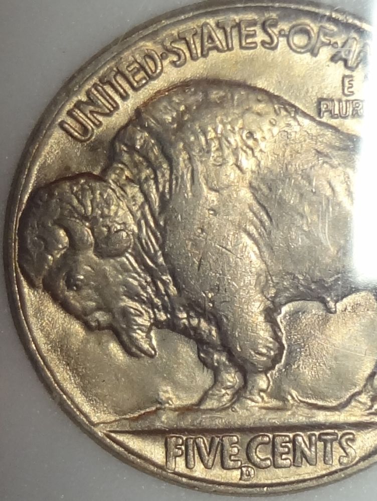 1938-D-Buffalo-Nickel-For-Grading-Review