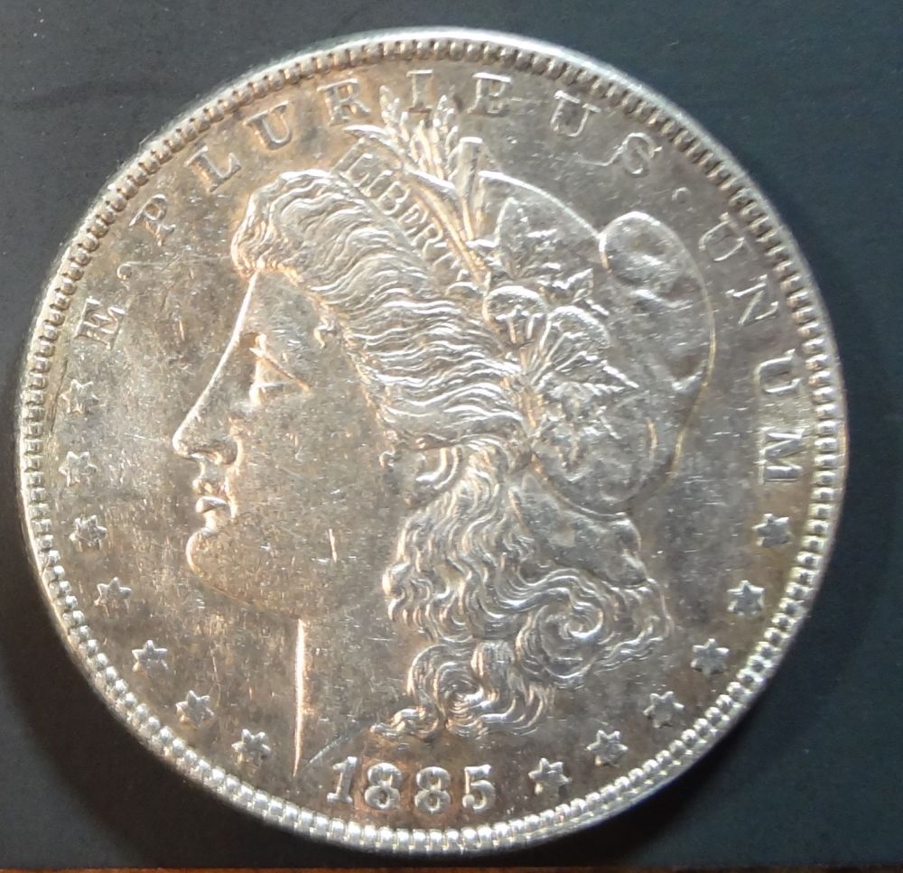 1885-Morgan-Dollar-Raw-Coin-For-Review
