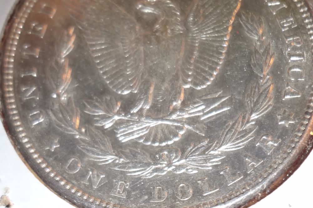 1885-Morgan-Dollar-Raw-Coin-For-Review