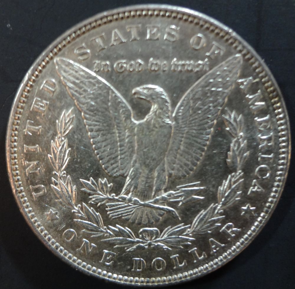 1885-Morgan-Dollar-Raw-Coin-For-Review