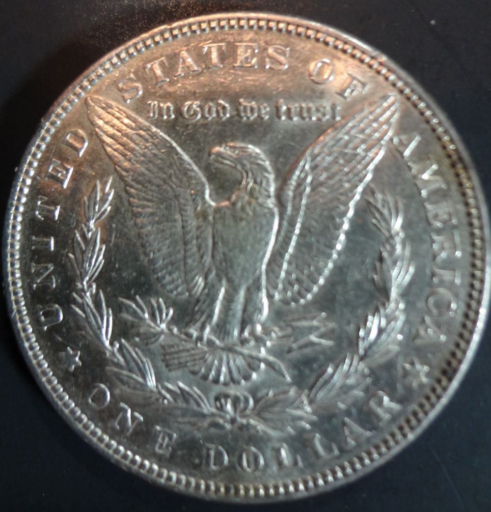 1885-Morgan-Dollar-Raw-Coin-For-Review