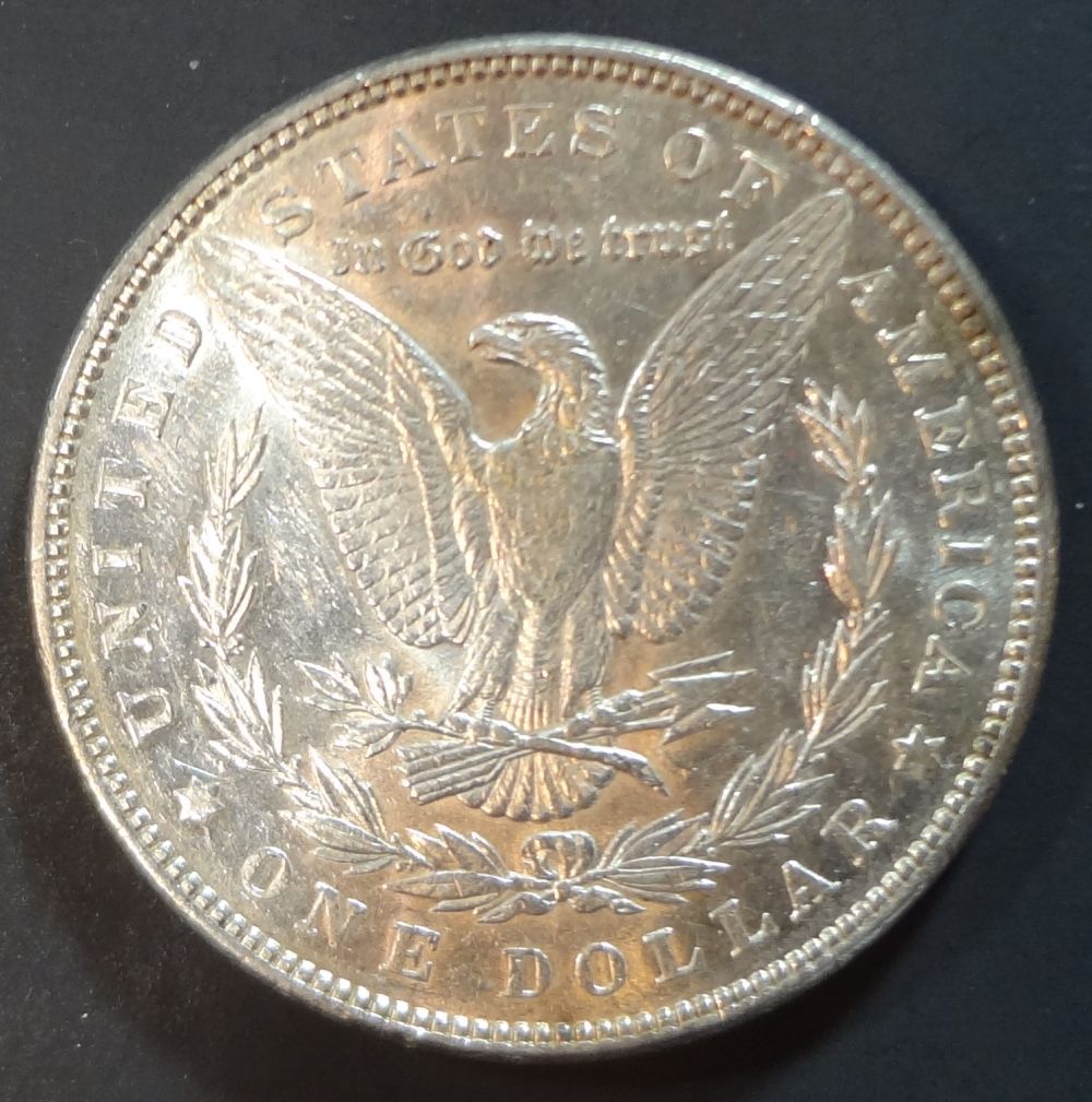 1885-Morgan-Dollar-Raw-Coin-For-Review