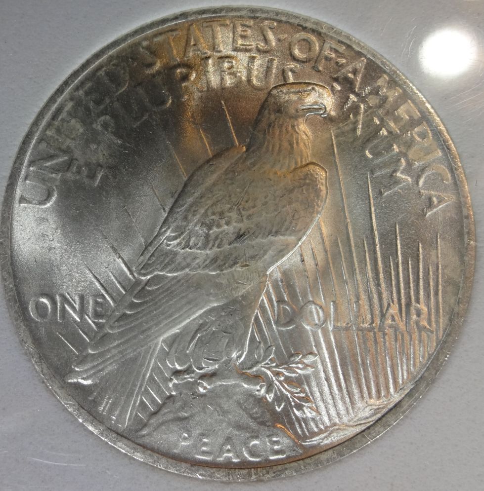 1923-Peace-Dollar-For-Review