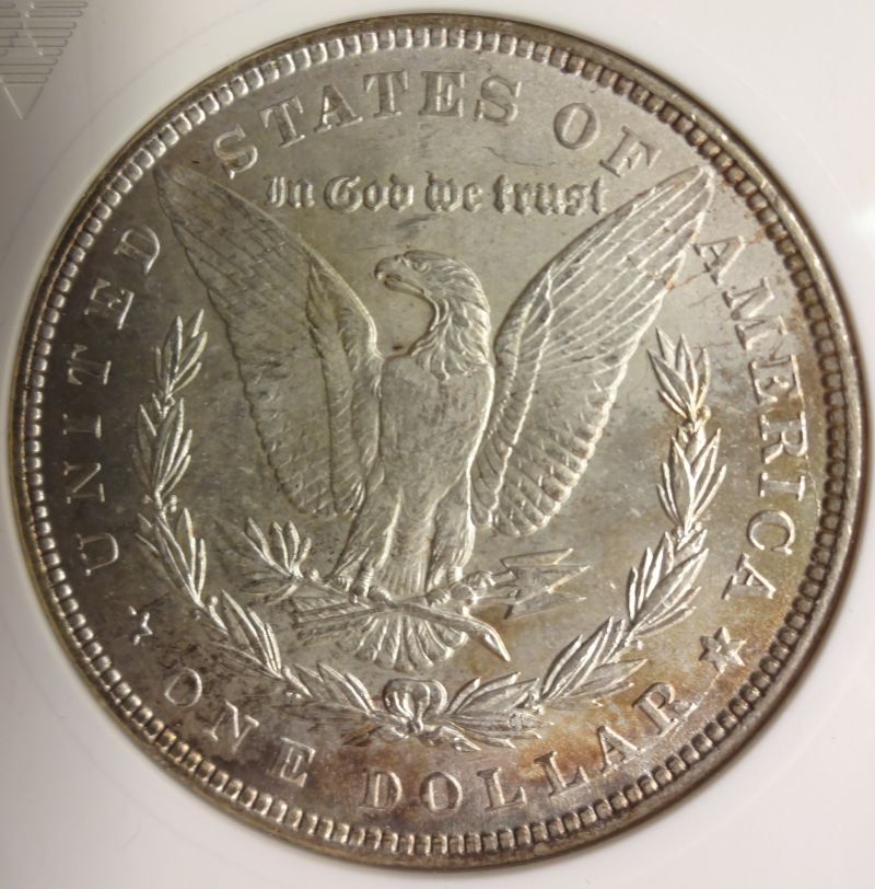 1884-Morgan-For-Review