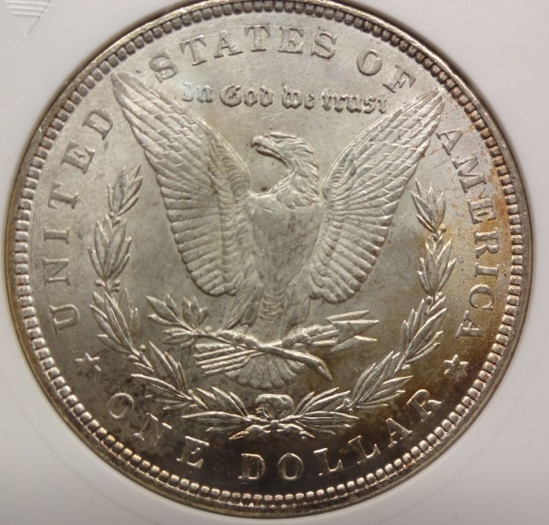 1884-Morgan-For-Review