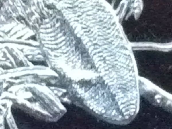 Help.-2013-$20-1-Oz-Silver-