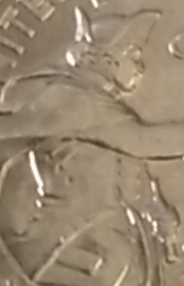 2021-P-Delaware-Quarter-Error