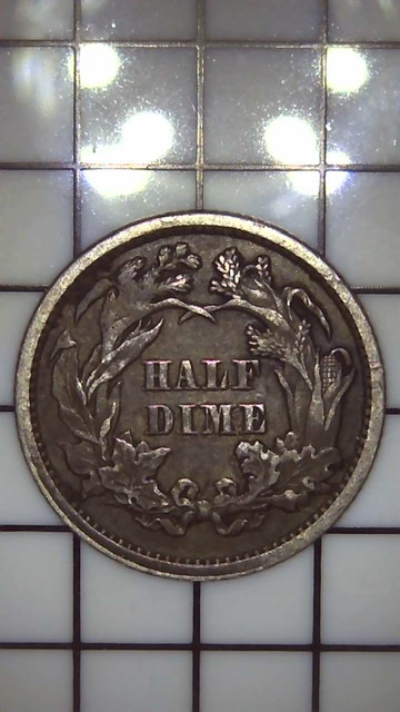 Seated-Liberty-Half-Dime-For-Grading