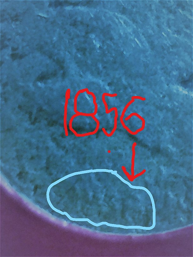 1856-Flying-Eagle-Coin,-I-Would-Like-To-See-What-You-Guys-Think?