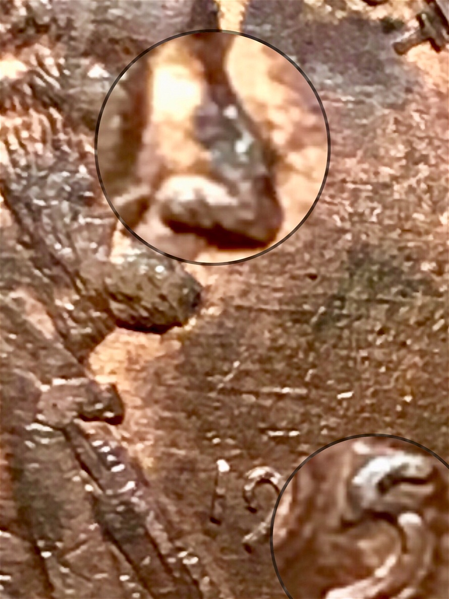 Please-Look-'95-Lincoln-Cent-3-Errors-Visible-With-Naked-Eye