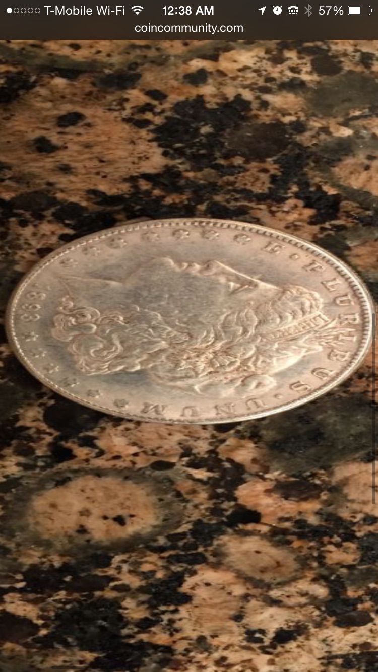 1878-To-1903-Morgan-Coins