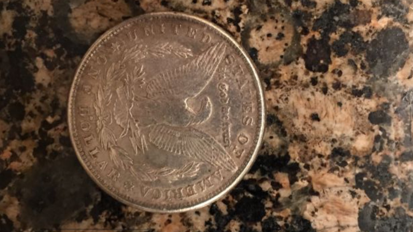 1878-To-1903-Morgan-Coins