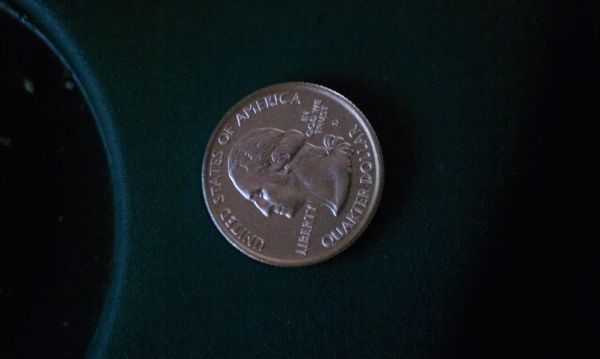Please-Help-Identify..